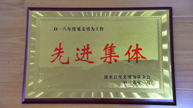 2018年度見義勇為工作“先進集體.JPG